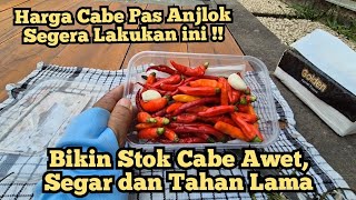 Cara Menyimpan Cabe Supaya Awet Segar Berbulan-bulan Tips Cara Simpan Cabe Tahan lama di Kulkas