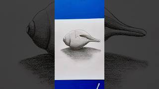 How to draw Shankh sketching #shortsfeed #art #shorts