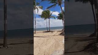 St. Croix #stcroix #beach #beachlife #beachvibes #beachviews #scenic #nature #coconuttree