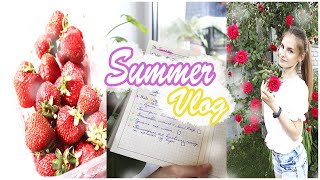 SUMMER VLOG: бег по утрам, первая клубника, вдохновение