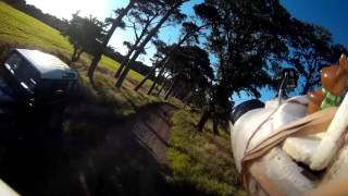 11_07_2017 Bixler 2 (FPV - HD mix through trees)