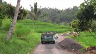 The back roads of Bali