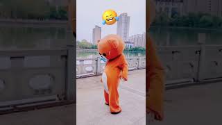 Funny Video l Funny Bear 🐻😂 P1622 #Shorts