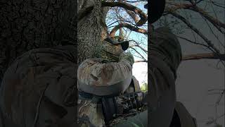 You can FEEL this gobble 😂🦃 Full catch clean cook https://youtu.be/_HF2pco-21A #turkeyhunting