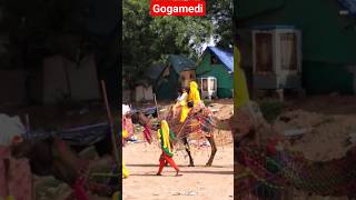 Camel Safari / gogamedi /Rajasthan /chunni me /perfume #shorts #youtube #short