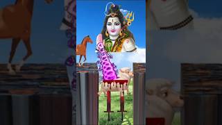 Har har mahadev shambhu #ytshortsindia #shortsfeed #vfx #shirtvideo #shortsviral