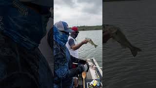 Pesca con curricán