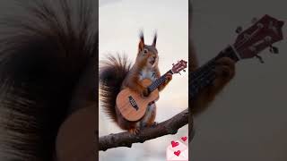 squirrel