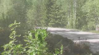 RallyBaron Mäntsälä Ralli 27.5.2023 EK4