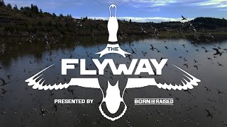 Epic Waterfowl Hunting Footage (Welcome to THE FLYWAY)