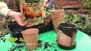 How to repot Sweetpeas using Mycorrhizal Fungi | Grow-Mate Rootmax