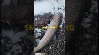 #fishing Steelhead #fish #vídeoviral