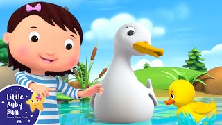 Five Little Ducks 🎶 Multi Language Nursery Rhymes and Kids Songs | Little Baby Bum