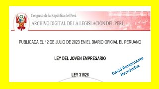 Ley 31828 - Ley del joven empresario