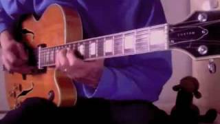 Maya Guitar  - Isn't she lovely - Stevie Wonder  - (Ibanez 2464, Gibson Byrdland copy)