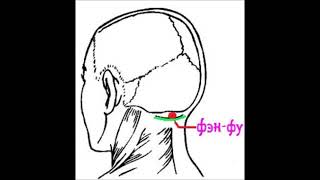 точки на шеи  для массажа. Убираем головную боль.
