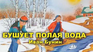 Бушует полая вода. Иван Бунин