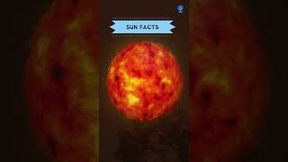 Sun Facts #shorts #facts #sun