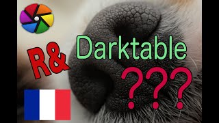 [FR] Un fork dans darktable : R&Darktable