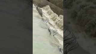 Makola Dam Gwadar, Spillway Spill, Monsoon Rainfall, Irrigation D Balochistan #gwadar #flooding