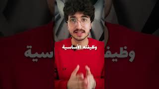 الصيام يسبب تلف المخ! #science