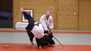 Aikido: Bruno Gonzalez working on Tachidori