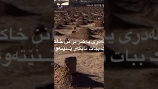 قەدری یەکتر بزانن