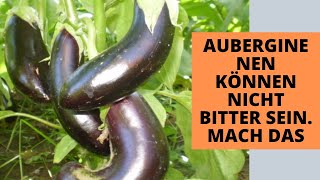 Wenn Sie Keine Bittere Aubergine Wollen, Machen Sie Diese II aubergine wachsende - dünger