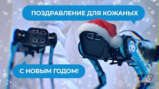 Новогоднее Поздравление | Unitree роботы-собаки (специально для кожаных)