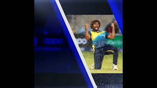 Top 6 Bowlers Most Wickets in T20 International #shorts #ytshorts #cricket #t20 #ap2810