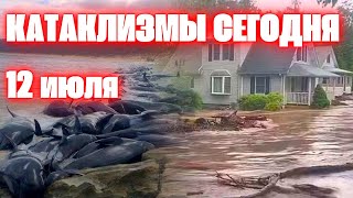 Наводнение в США Аномальные морозы в Аргентине Гибель китов. Взрыв вулкана в Европе Падение самолёта