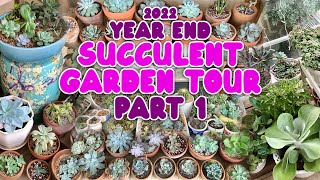 YEAR END SUCCULENT GARDEN TOUR - PART 1 | By Intri's TV