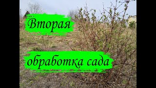 Вторая обработка сада.