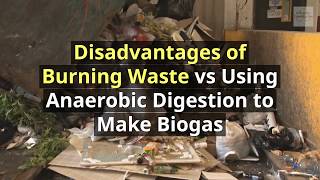 Disadvantages of Burning Waste vs Anaerobic Digestion