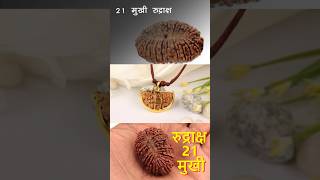 Dhan Vaibhav Pane Ke Upay l #astrology #bhaidooj #bhaidoojspacial #rudraksha #shorts #trending