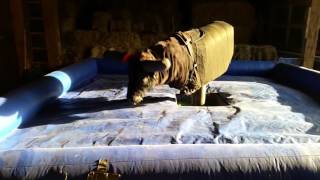 Funny Hydraulic Mechanical Bull