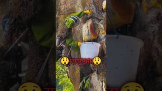 #shortsvideo #collecting_honey #honey #bee #ayatulkursi #quranrecitation #কুরআন_তিলাওয়াত #মধুসংগ্রহ