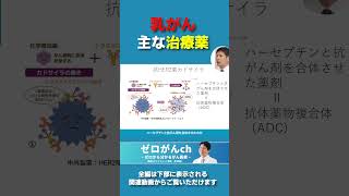 乳がん主な治療薬 〜抗HER2薬と分子標的薬〜！