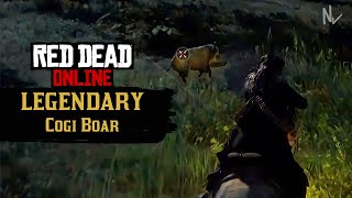 LEGENDARY Cogi Boar! - Red Dead Online Naturalist Update