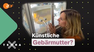 Von Frühchen lernen: So beeinflusst dich dein Start ins Leben | Terra Xplore mit Jasmina Neudecker