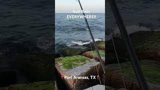 JETTY Fishing DREAM! School of Bull Reds at Port Aransas Jetty! (Action will be on channel) #fishing