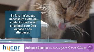 Animaux à poils: Une cause majeure de crise d’allergie