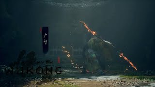 BLACK MYTH: WUKONG PS5 - Guangzhi No Damage Boss Fight [Chinese Dub] 4K HDR