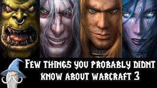 Few Things You Probably Didn't Know About Warcraft 3