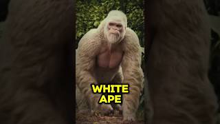 This ape is smarter than you 🤣 #shorts #viral #movies