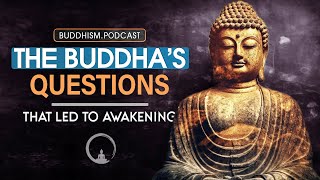 The Buddha’s Questions That Led to Awakening