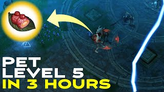 How I Got Level 5 Pets In Just 3 Hours