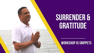 Surrender and Gratitude by Sanjeev Shivananda | Workshop III Snippets