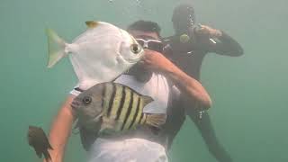 Tarkarli beach scuba diving individual