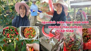 Ajak saudara ngunduh cabe persiapan buat oleh-oleh || Mbak iti vlog